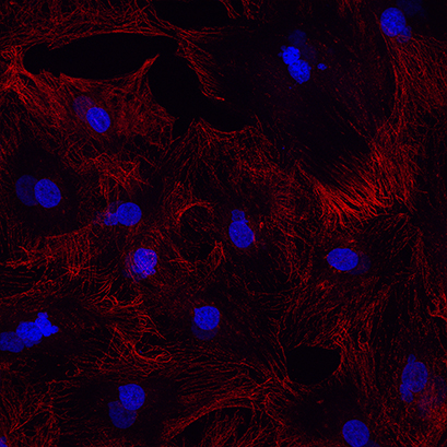 1642561250589800.png 圖片4.png